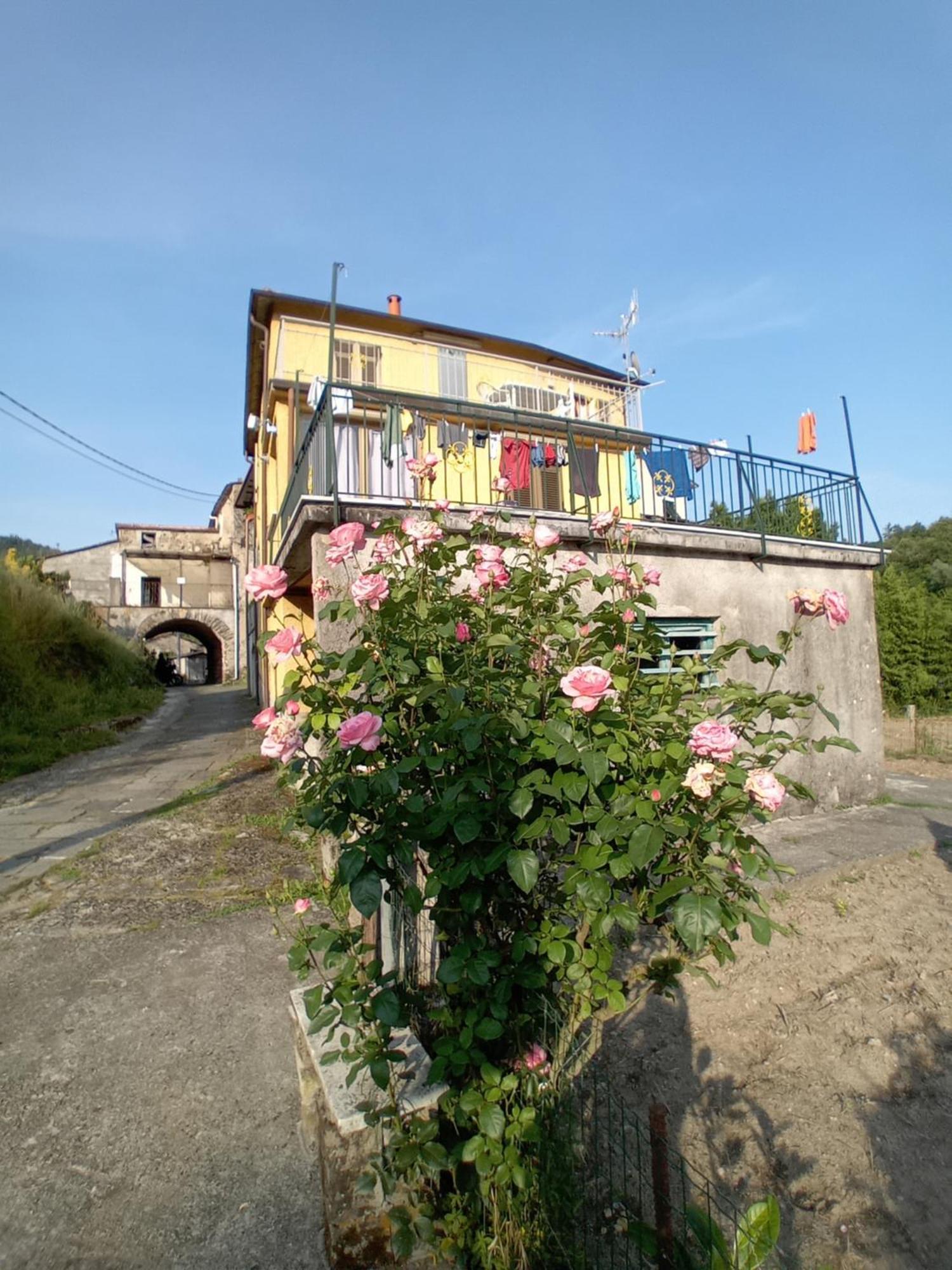 Agriturismo Ghirlanda Norma Rita Carrodano Inferiore Exteriér fotografie
